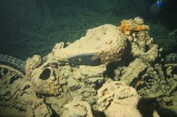 BSA bike inside Thisslegorm's belly by Richard Goluch 